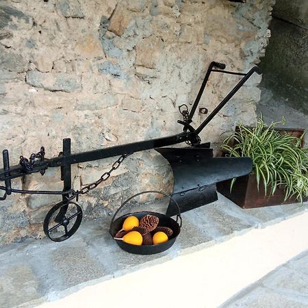 Agriturismo U'Spigu Nonna Annetta Nasino Ngoại thất bức ảnh