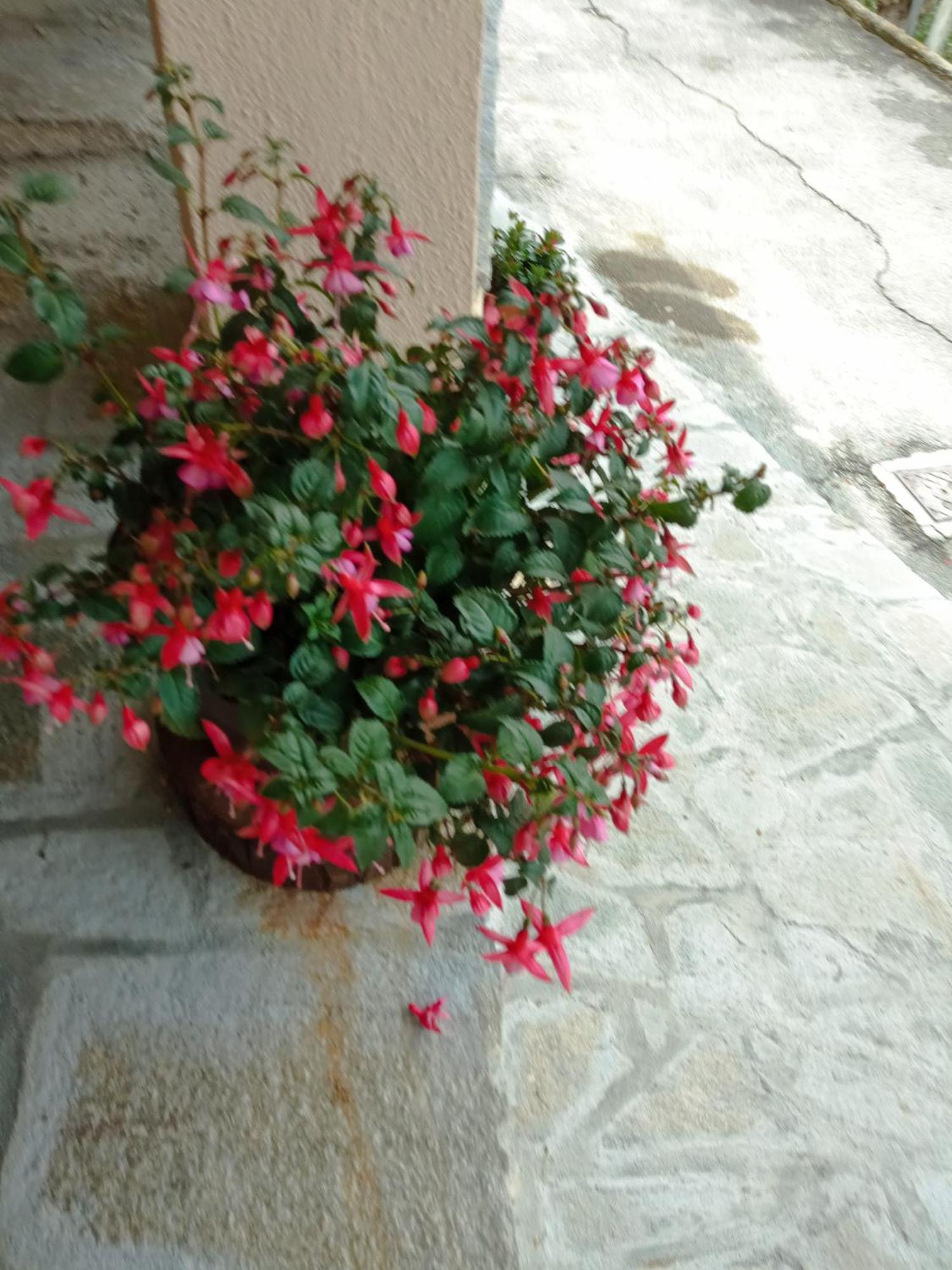 Agriturismo U'Spigu Nonna Annetta Nasino Ngoại thất bức ảnh