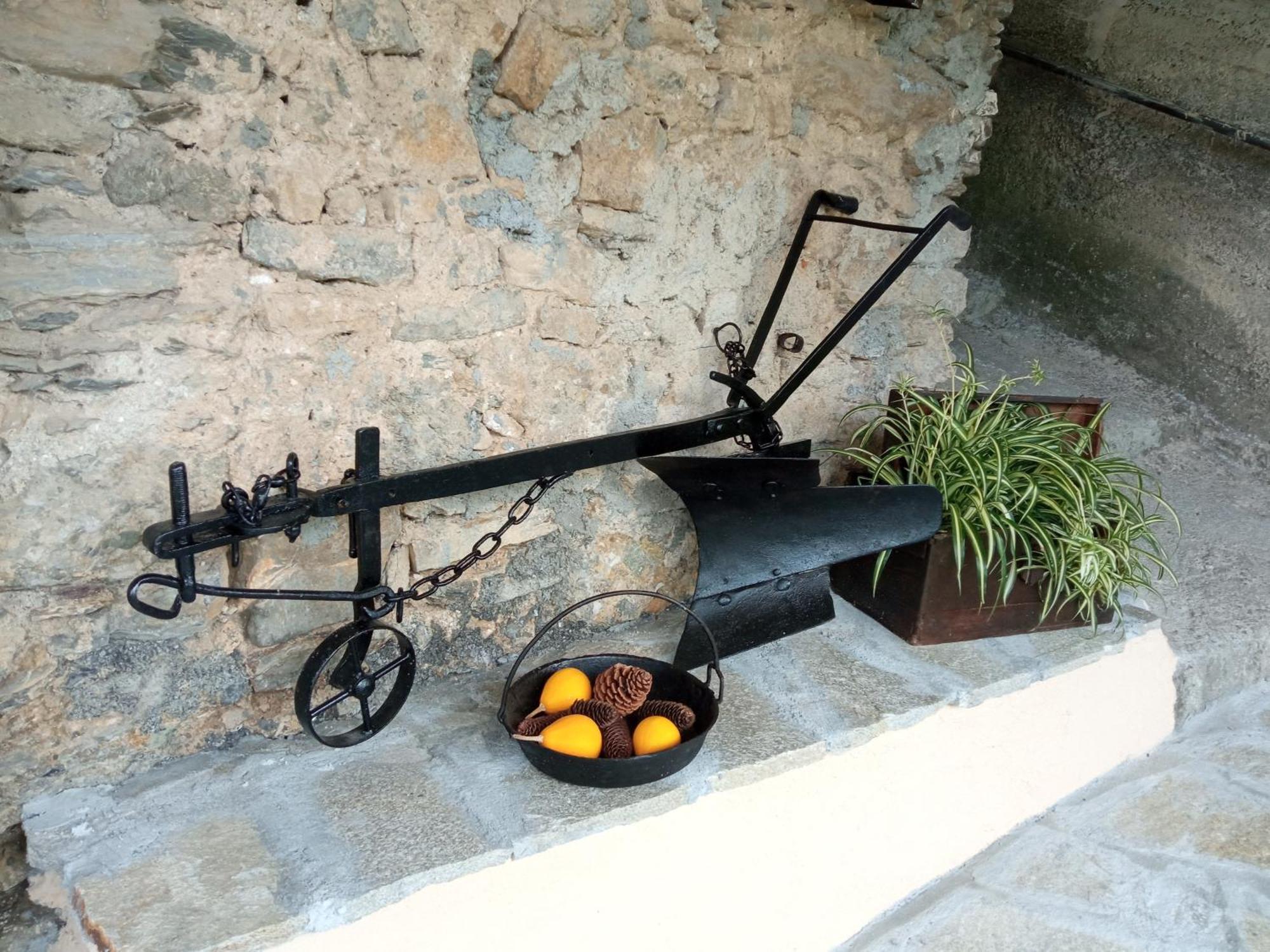 Agriturismo U'Spigu Nonna Annetta Nasino Ngoại thất bức ảnh